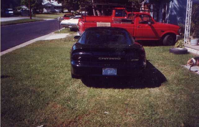 file0038.jpg